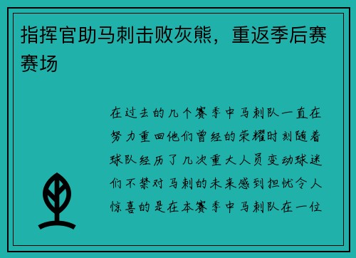 指挥官助马刺击败灰熊，重返季后赛赛场